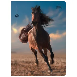 Zeszyt WILD HORSES A5 32k. 70g krata Interdruk