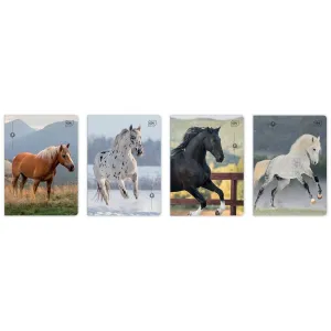 Zeszyt WILD HORSES A5 32k. 70g linia kolor Interdruk