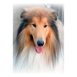 Zestaw kreatywny Diamentowa mozaika 30x40cm Lassie Flamingo Line (TBS01371-02(39))