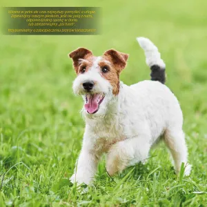 Kalendarz ścienny Avanti wieloplanszowy 300mm x 600mm (KAD-10)