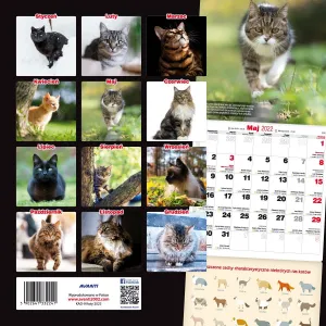 Kalendarz ścienny Avanti wieloplanszowy 300mm x 300mm (KAD-9)