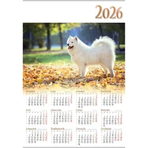 Kalendarz ścienny PRZYJACIELE plakatowy 607mm x 880mm Lucrum (PL11)