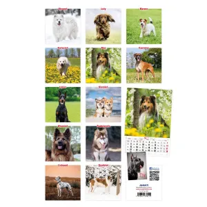 Kalendarz ścienny Avanti wieloplanszowy paskowy 285mm x 410mm (5901769621107)