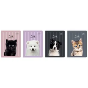Zeszyt A5 PUPPY SIGN 32k. 70g linia kolor Interdruk