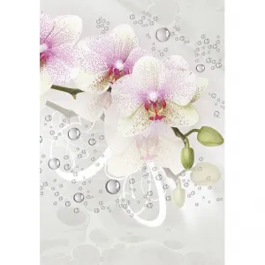 Bileciki do upominków, prezentów, kwiatów Pol-Mak 55 x 77 mm mix wzorów