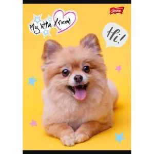 Zeszyt MY LITTLE FRIEND A5 32k. krata Unipap