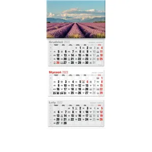 Kalendarz ścienny Avanti trójdzielne (5901769620568)