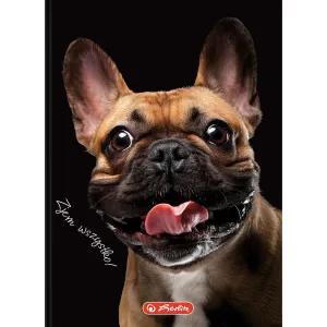 Brulion A6 Crazy Animal 80k. 70g krata Herlitz (400196850)