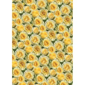 Papier ozdobny Pol-mak - mix 700mm x 1000mm