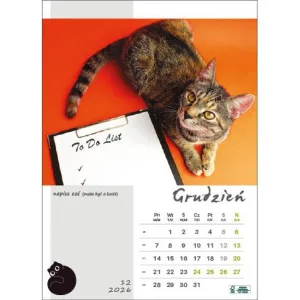Kalendarz ścienny KOT W BIURZE WIELOPLANSZOWY A3 Jotan (WP136)