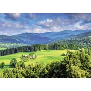 Kalendarz ścienny RODZINNY Pejzaże Polski 13-KARTKOWY 280mm x 200mm Lucrum (WL3)