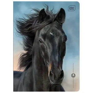 Zeszyt WILD HORSES A5 16k. 70g linia kolor Interdruk