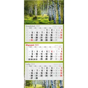 Kalendarz ścienny Avanti mix (5902641330056)