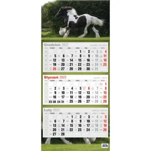 Kalendarz ścienny Avanti mix (5902641330056)