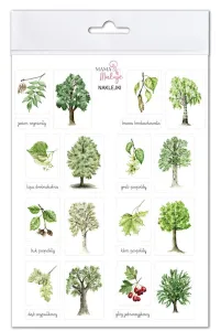 Naklejka (nalepka) Drzewa 1