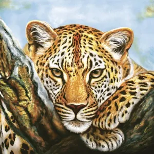 Serwetki Pol-mak - mix 330mm x 330mm (SL og)