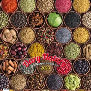 Kalendarz ścienny Avanti wieloplanszowy 300mm x 600mm (5901769620988)