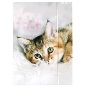 Teczka kartonowa na gumkę Kotki A4 mix Starpak (559717)