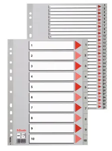 Przekładka numeryczna Esselte A4 szara 6k 1-6 (100104)