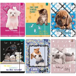 Teczka kartonowa na gumkę Ev-corp A4 kolor: mix (TA4BF1)