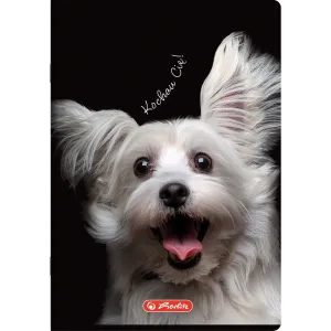 Zeszyt A5 Crazy Animal 60k. 70g krata Herlitz (400196837)