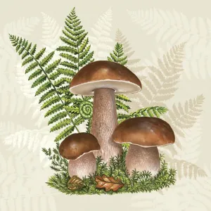 Serwetki Pol-mak - mix 330mm x 330mm (SL og)