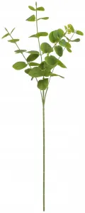 Kwiaty gałązka eukaliptus 63 cm Home And Garden (2006)