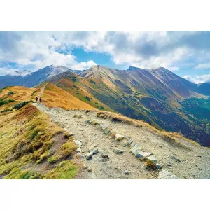 Kalendarz ścienny Tatry i Podhale Lucrum rodzinny 2023 280mm x 200mm (WL05)