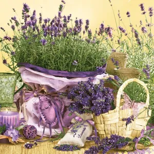 Serwetki mix bibuła [mm:] 330x330 Pol-mak (Sd)