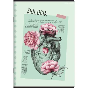 Zeszyt biologia mix A5 60k. 70g krata Top 2000 (400168958)