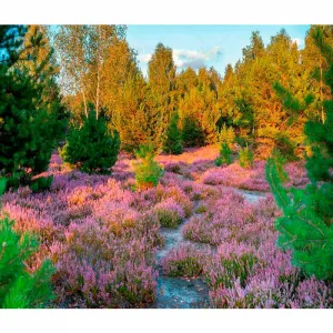 Kalendarz ścienny Lucrum 13-planszowe 320mm x 470mm (RW04)