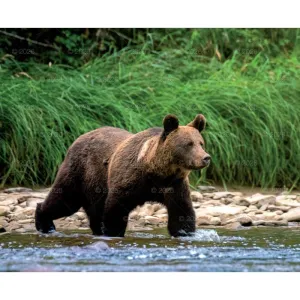 Kalendarz ścienny MALARSTWO IMPRESJONISTÓW 13-planszowe 2024 320mm x 470mm Lucrum (RW07)