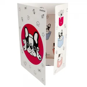 Teczka kartonowa na gumkę Starpak Minisy A4 kolor: mix (491062)