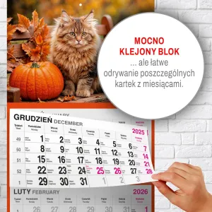 Kalendarz ścienny KOT 310mm x 790mm Press