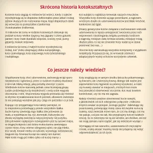 Kalendarz ścienny Avanti wieloplanszowy 300mm x 300mm (KAD-9)