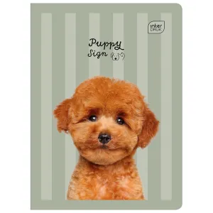 Zeszyt GIRLS A5 32k. 70g linia kolor Interdruk