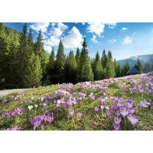 Kalendarz ścienny Tatry i Podhale Lucrum rodzinny 2023 280mm x 200mm (WL05)