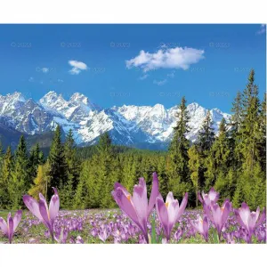 Kalendarz ścienny Lucrum PEJZAŻE POLSKIE 13-planszowe 320mm x 470mm (RW01)