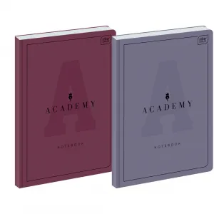 Brulion Interdruk ACADEMY A4 96k. 90g krata (5902277299284)