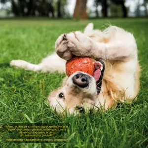 Kalendarz ścienny Avanti wieloplanszowy 300mm x 600mm (KAD-10)