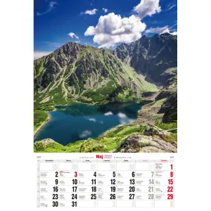 Kalendarz ścienny Avanti wieloplanszowy paskowy 285mm x 420mm (5901769620827)