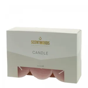 Świeca pieńkowa 5x5cm 6szt., w kolorze Coral Pavoncella (8720935400882)