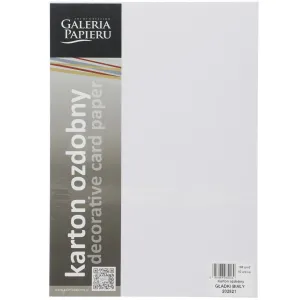 Papier ozdobny (wizytówkowy) Galeria Papieru gładki biały A4 - biały 160g (202821)
