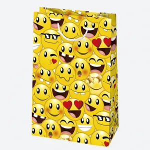 Torebka ozdobna Pol-Mak mix wzorów 160x240x70 (T3)