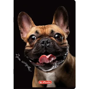 Zeszyt A5 Crazy Animal 60k. 70g krata Herlitz (400196837)
