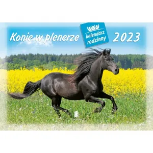 Kalendarz ścienny Lucrum rodzinny 280mm x 200mm (WL10)