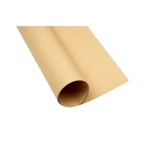 Brystol TOP-2000 A1 jasnobrązowy 160g 25k 610mm x 860mm (400149527)