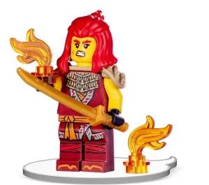 Książka dla dzieci LEGO® NINJAGO®. Ogień i Żar Ameet (LNC 6749)