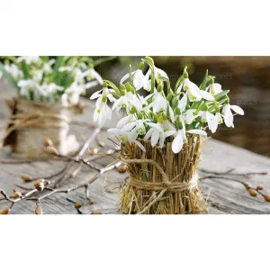 Kalendarz ścienny 5904844530592 Lucrum notatnikowy 2023 Kompozycje kwiatowe 220mm x 490mm (WN2)