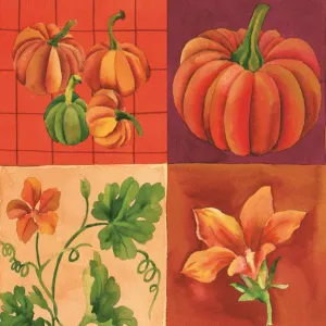 Serwetki Pol-mak - mix 330mm x 330mm (SL og)